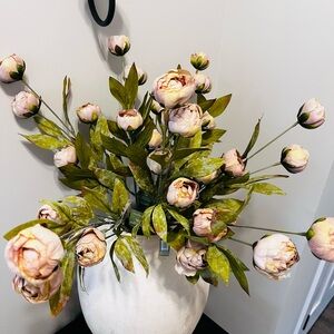 8 Tan Peonies- Ashland Stem